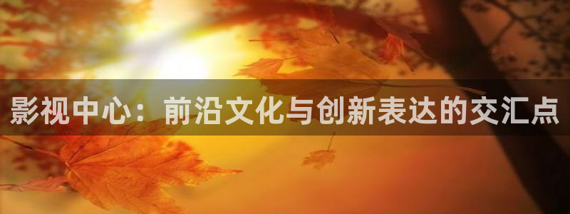 丝瓜视频哟哟：影视中心：前沿文化与创新表达的交汇点