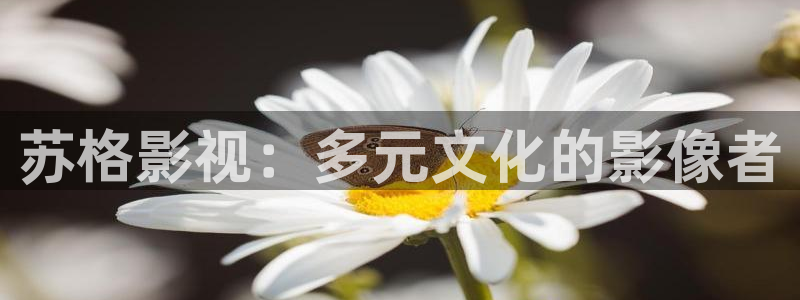 丝瓜管理视频：苏格影视：多元文化的影像者