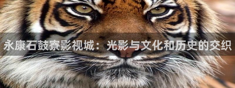 丝瓜怎么做的