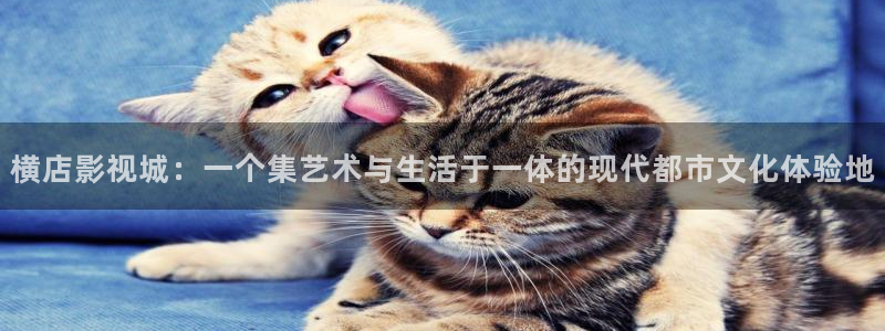 丝瓜视频下载免费：横店影视城：一个集艺术与生活于一体的现代都市文化体验地