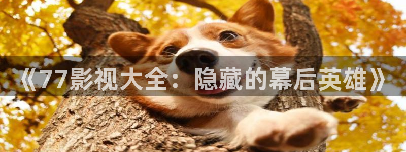 丝瓜的功效与作用及禁忌：《77影视大全：隐藏的幕后英雄》