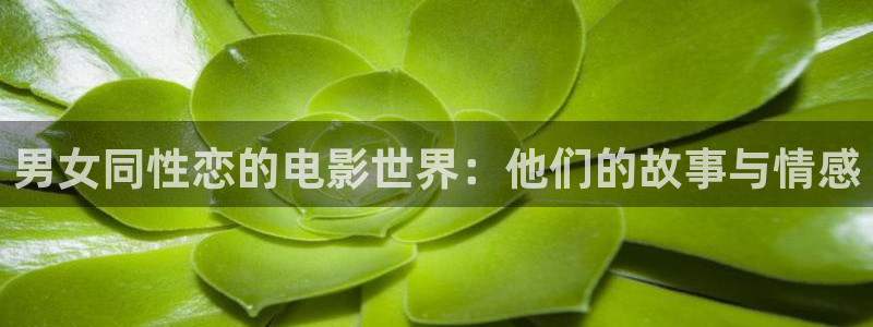 丝瓜视频软件下载