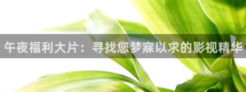 丝瓜视频ⅰ0s：午夜福利大片：寻找您梦寐以求的影视精华