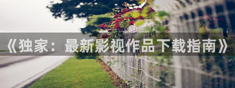 丝瓜视频污版