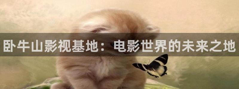 丝瓜黄瓜视频在线观看