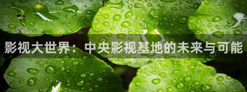 ww.丝瓜视频